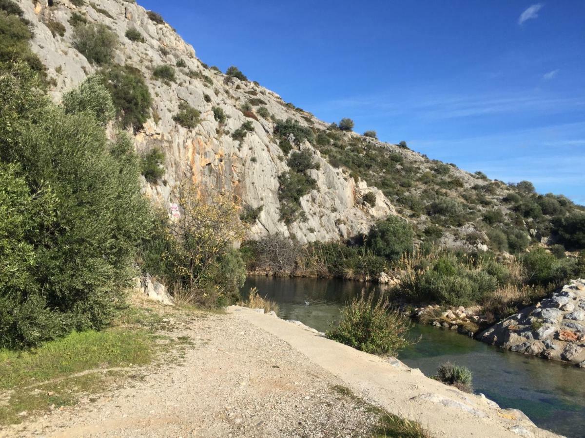Villa Les Oliviers Salses-le-Chateau Εξωτερικό φωτογραφία